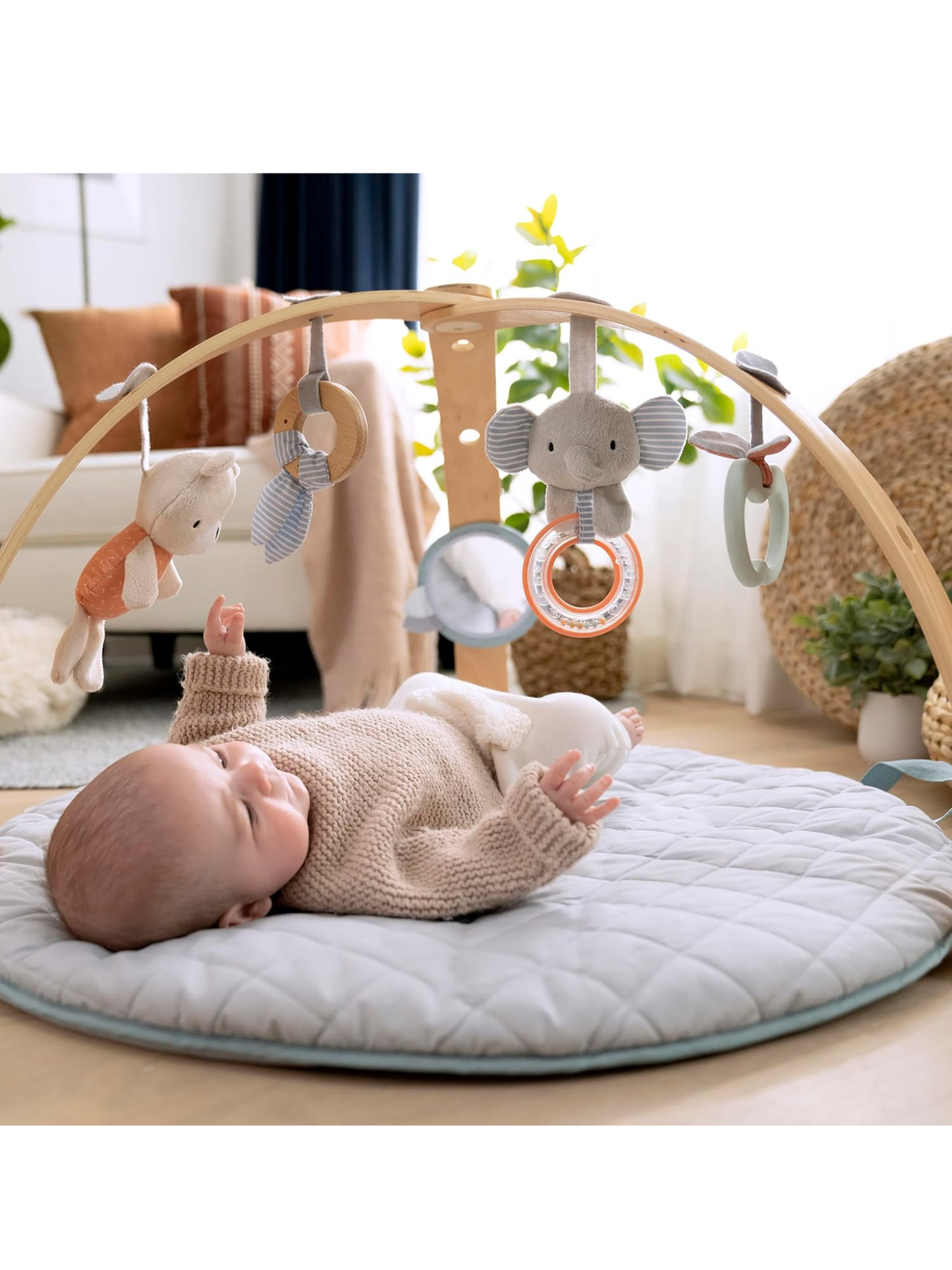 Gimnasio de Actividades Ingenuity