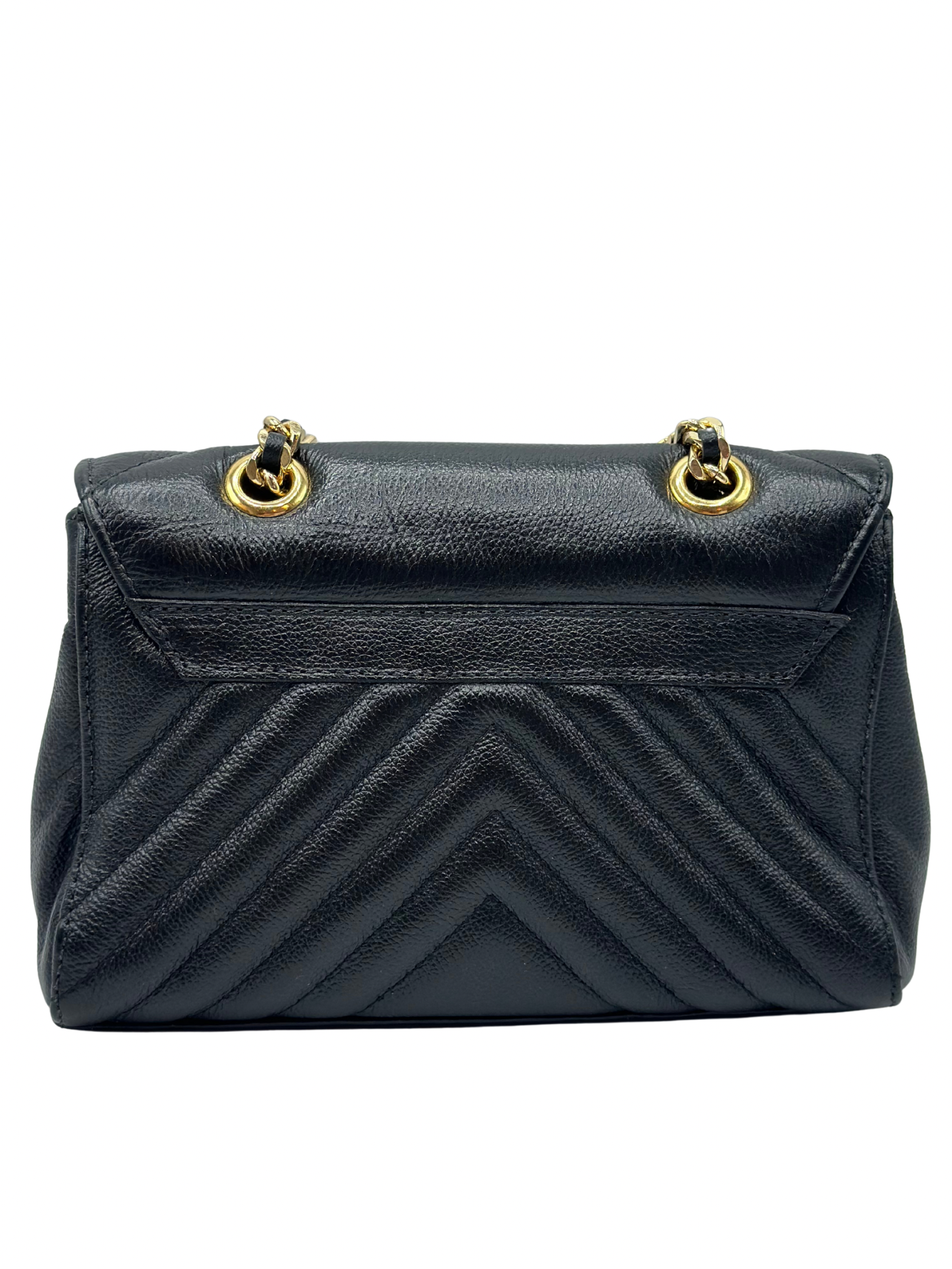 Bandolera de Tigre Carmen Steffens