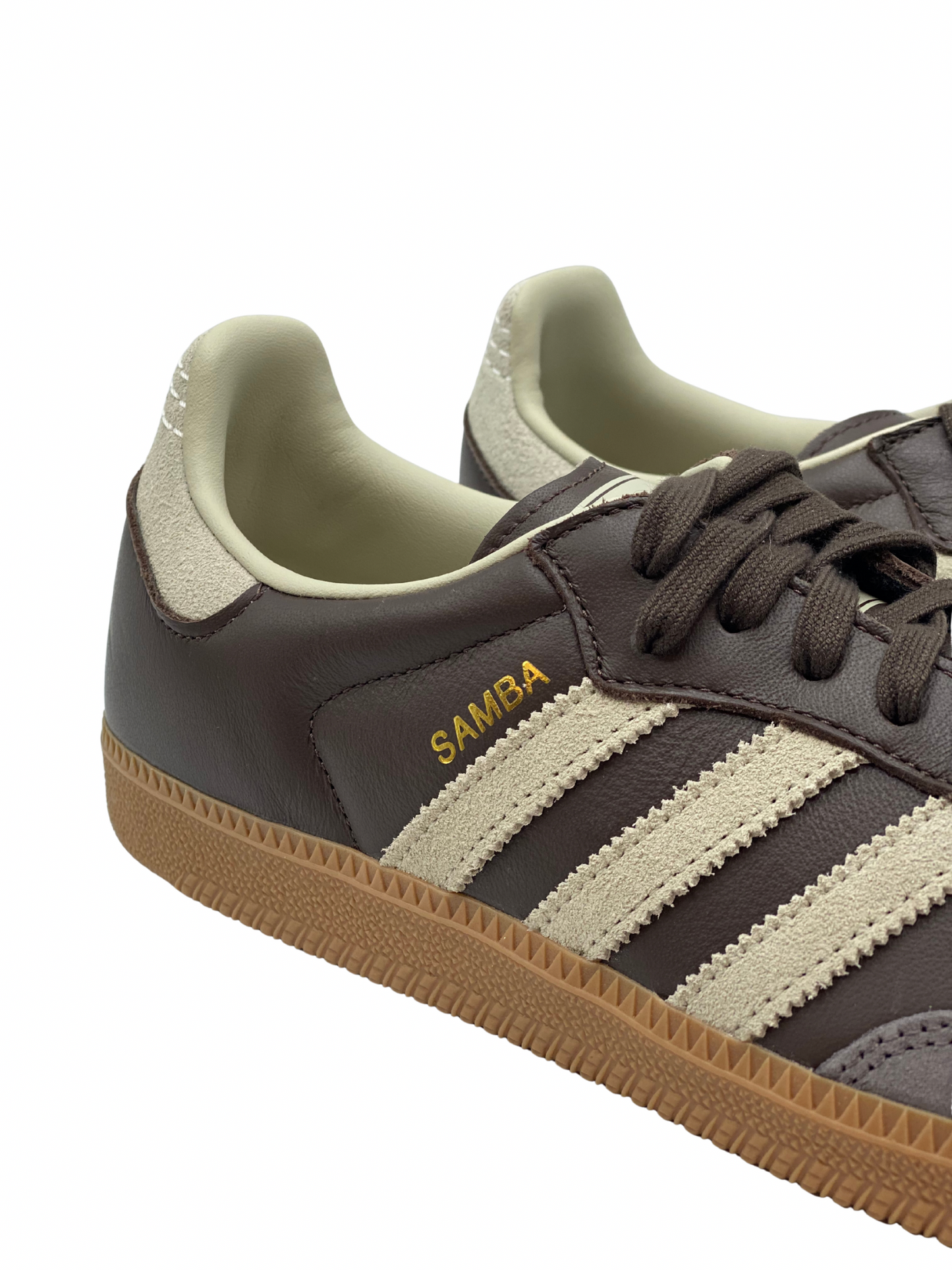 Champion Marrón Adidas Samba (11 MASC)