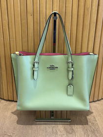 Bolso Coach Mollie 25 Tote 25