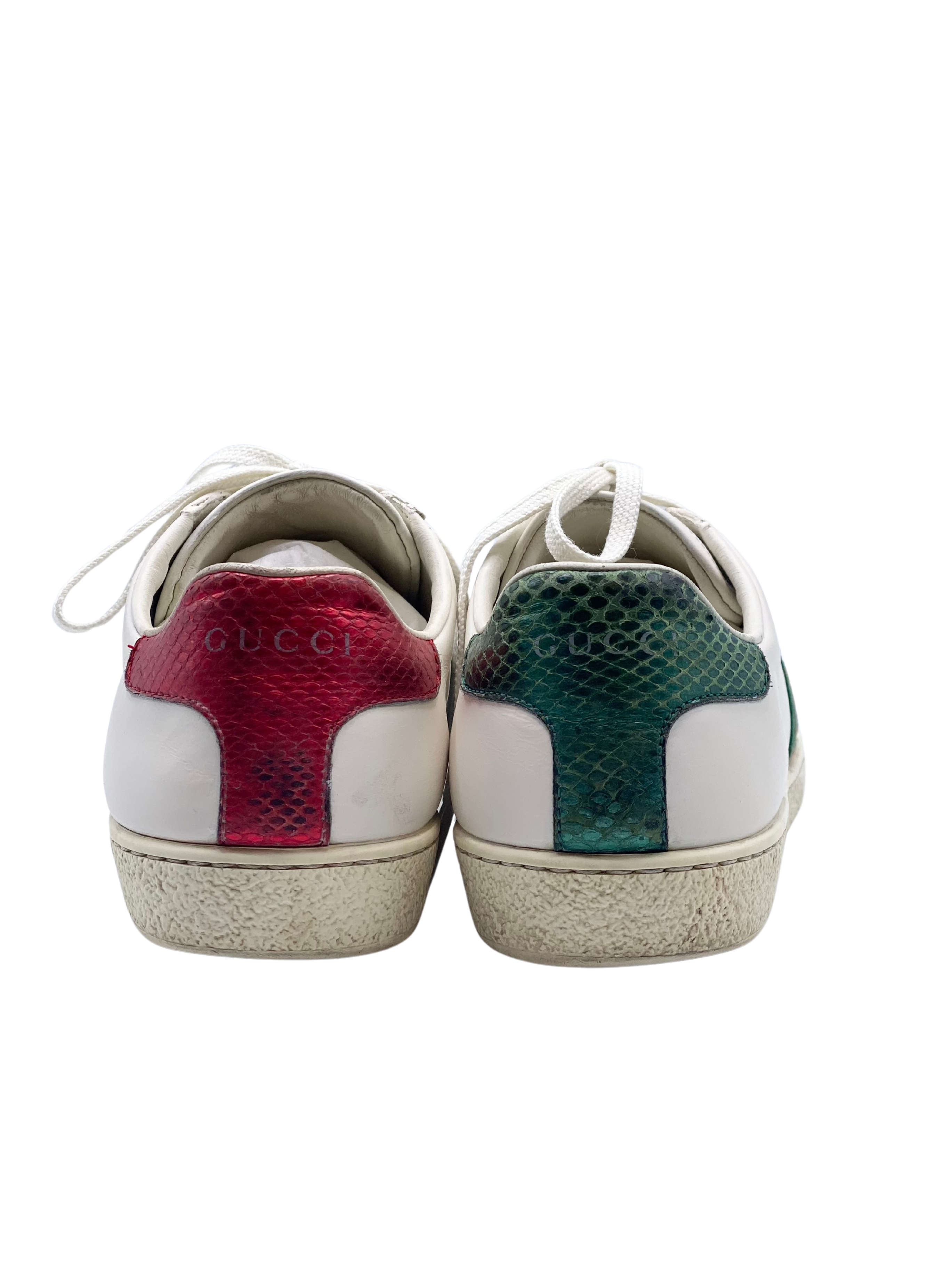 Champion Gucci Ace Bee White (36)