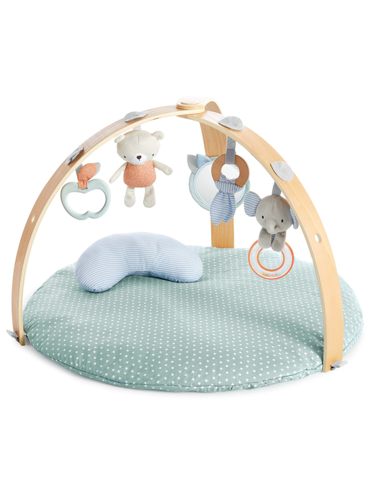 Gimnasio de Actividades Ingenuity