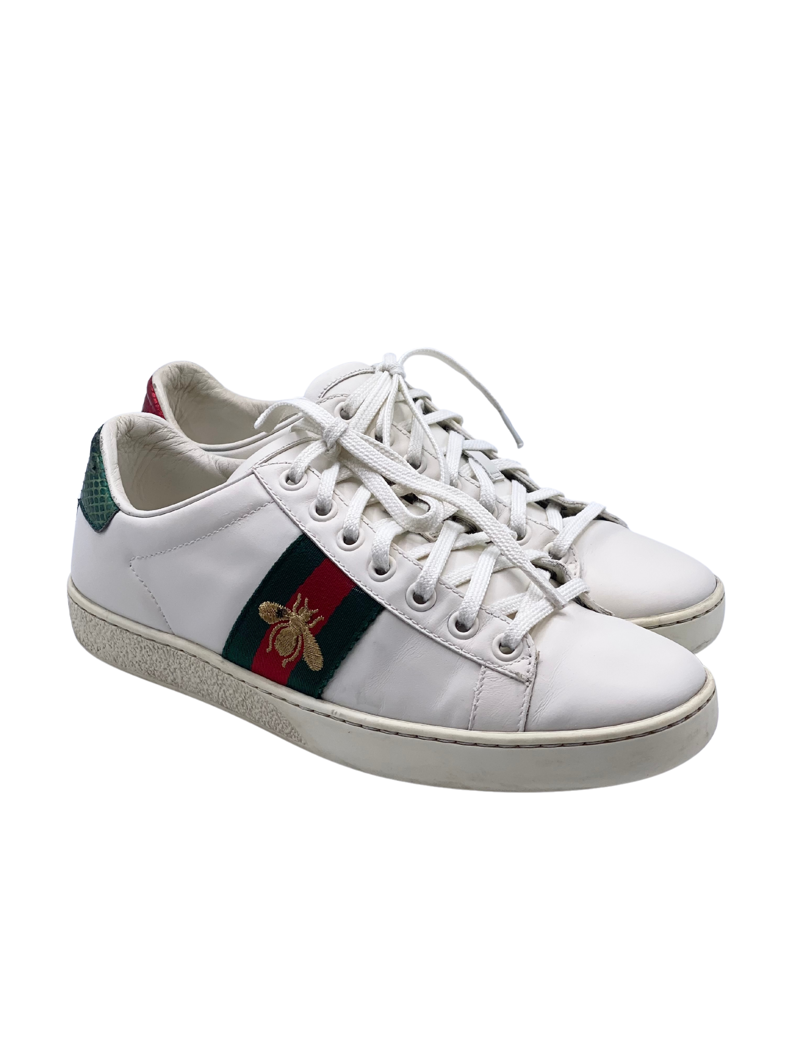 Champion Gucci Ace Bee White (36)