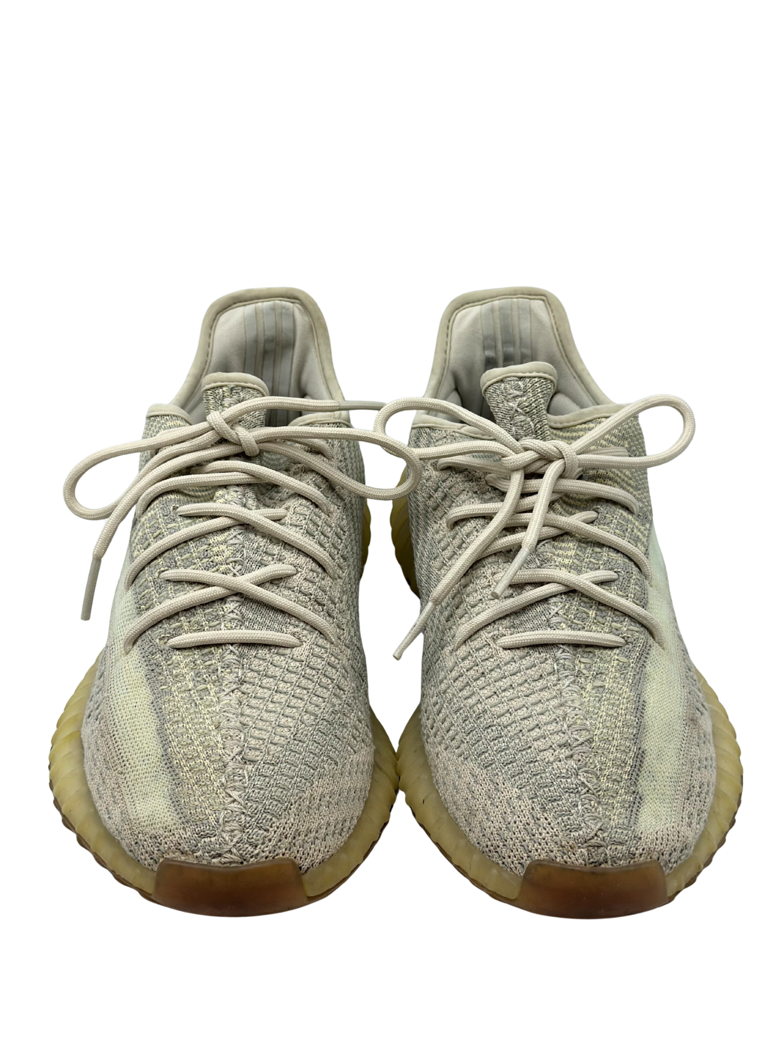 Champion Adidas Yeezy Citrin 350 V2 (10 MASC)