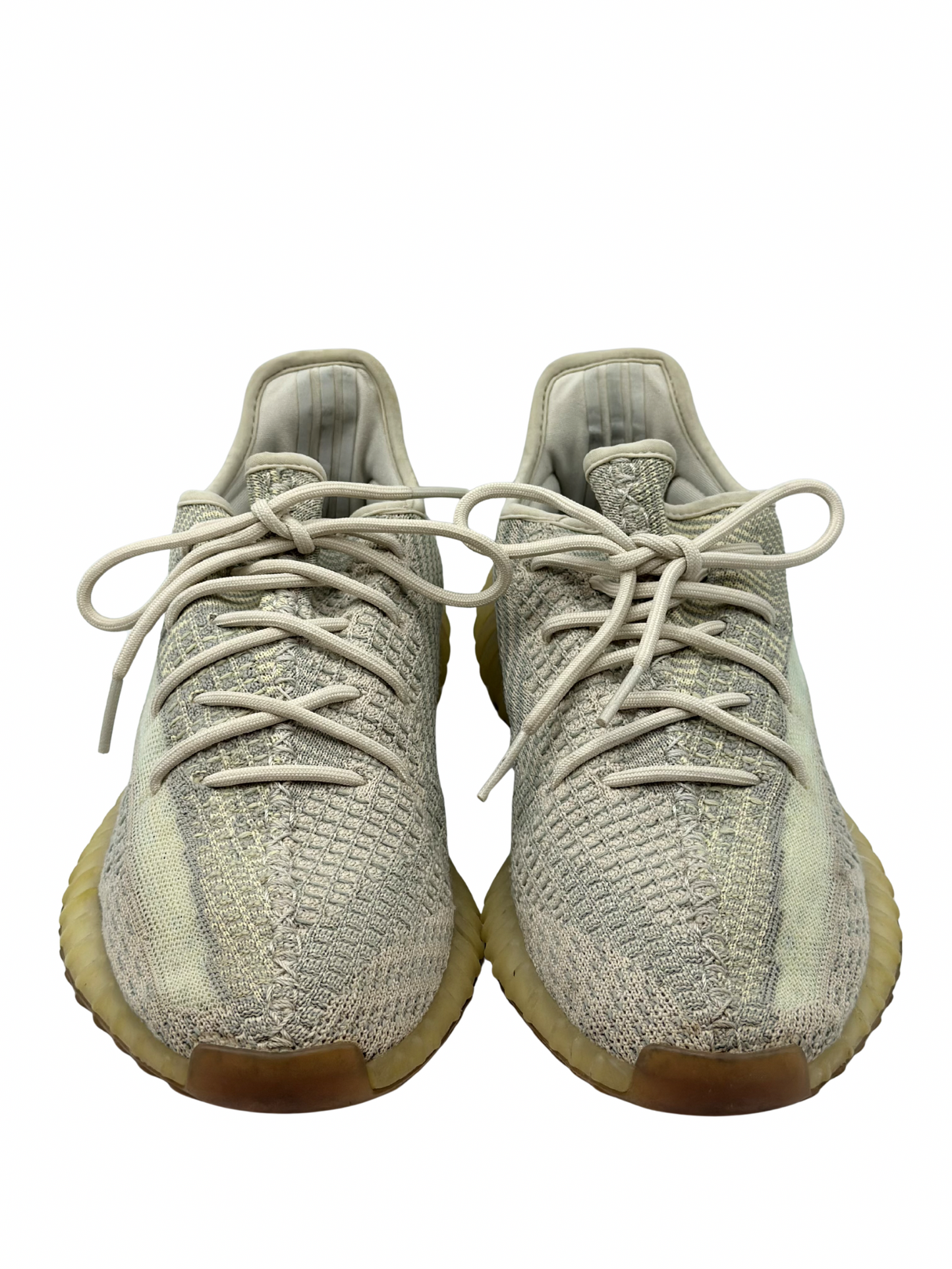 Champion Adidas Yeezy Citrin 350 V2 (10 MASC)