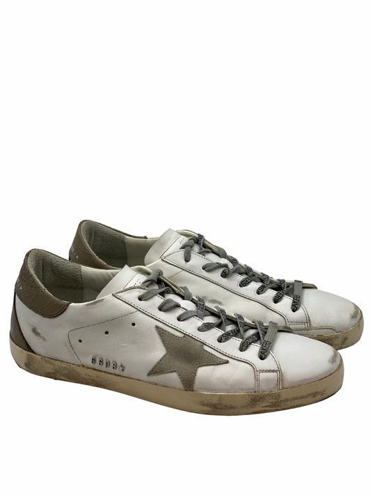 Champion Golden Goose Super-Star (11 MASC)