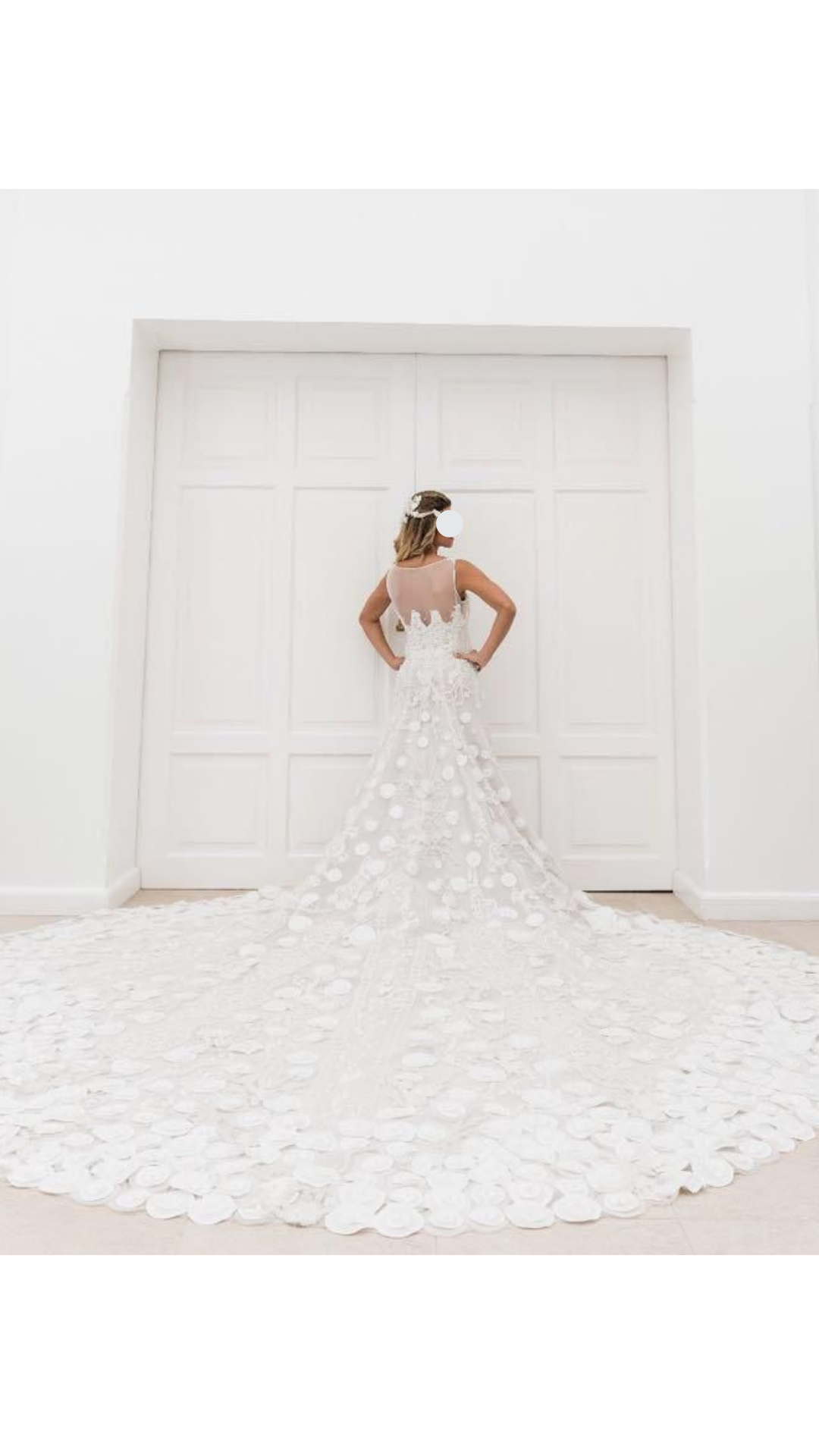 Vestido de Novia Teti Kemper (Talle S)