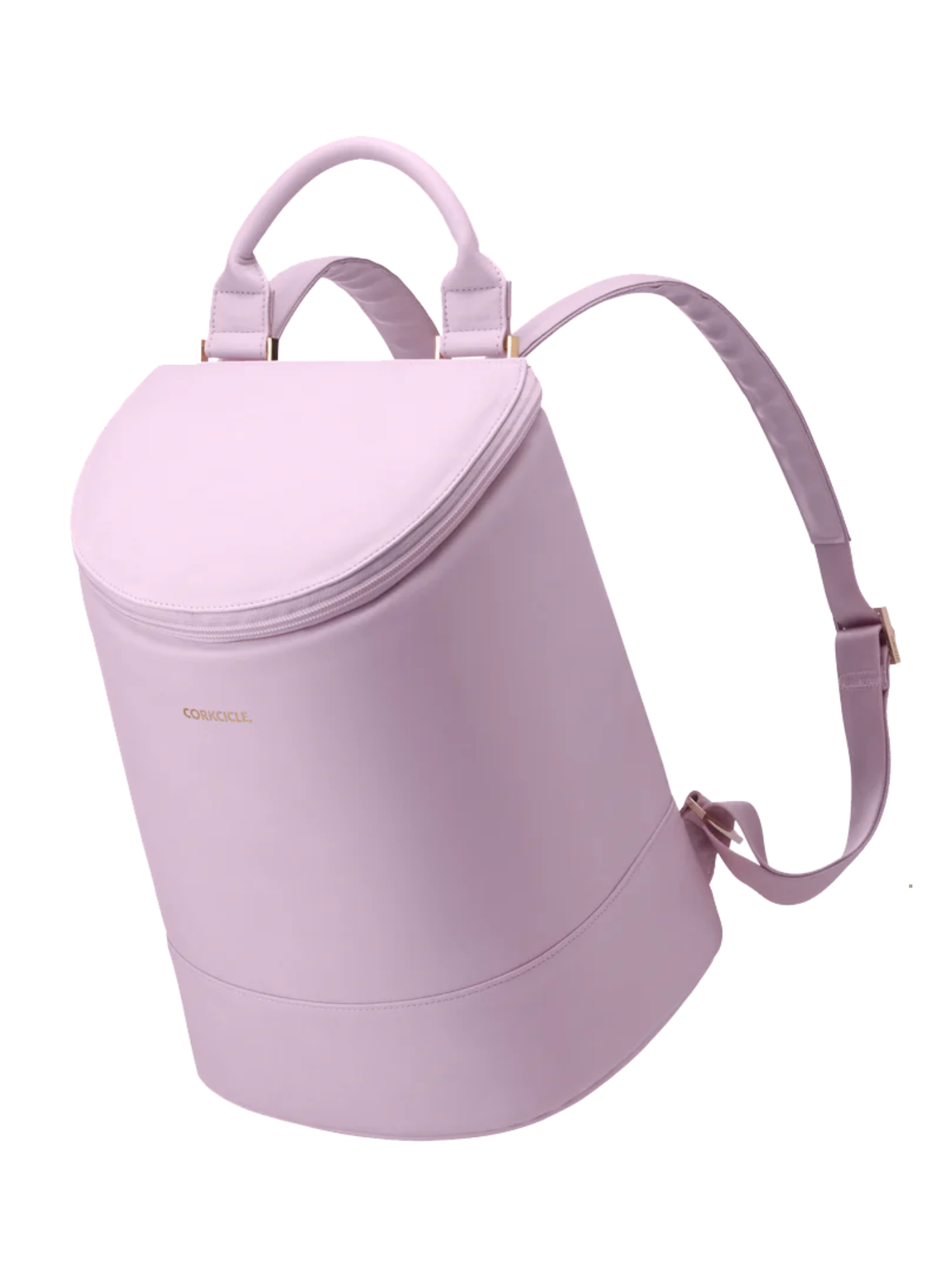 Backpack Wine Cooler Bag 