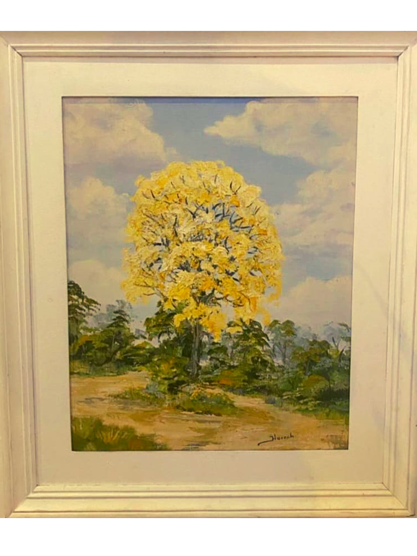 Cuadro "Lapacho Amarillo" de Von Horoch 30 x 45 cm