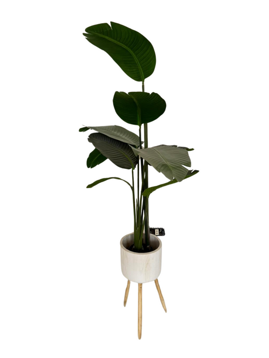 Planta Artificial con Plantera 1.67 m.