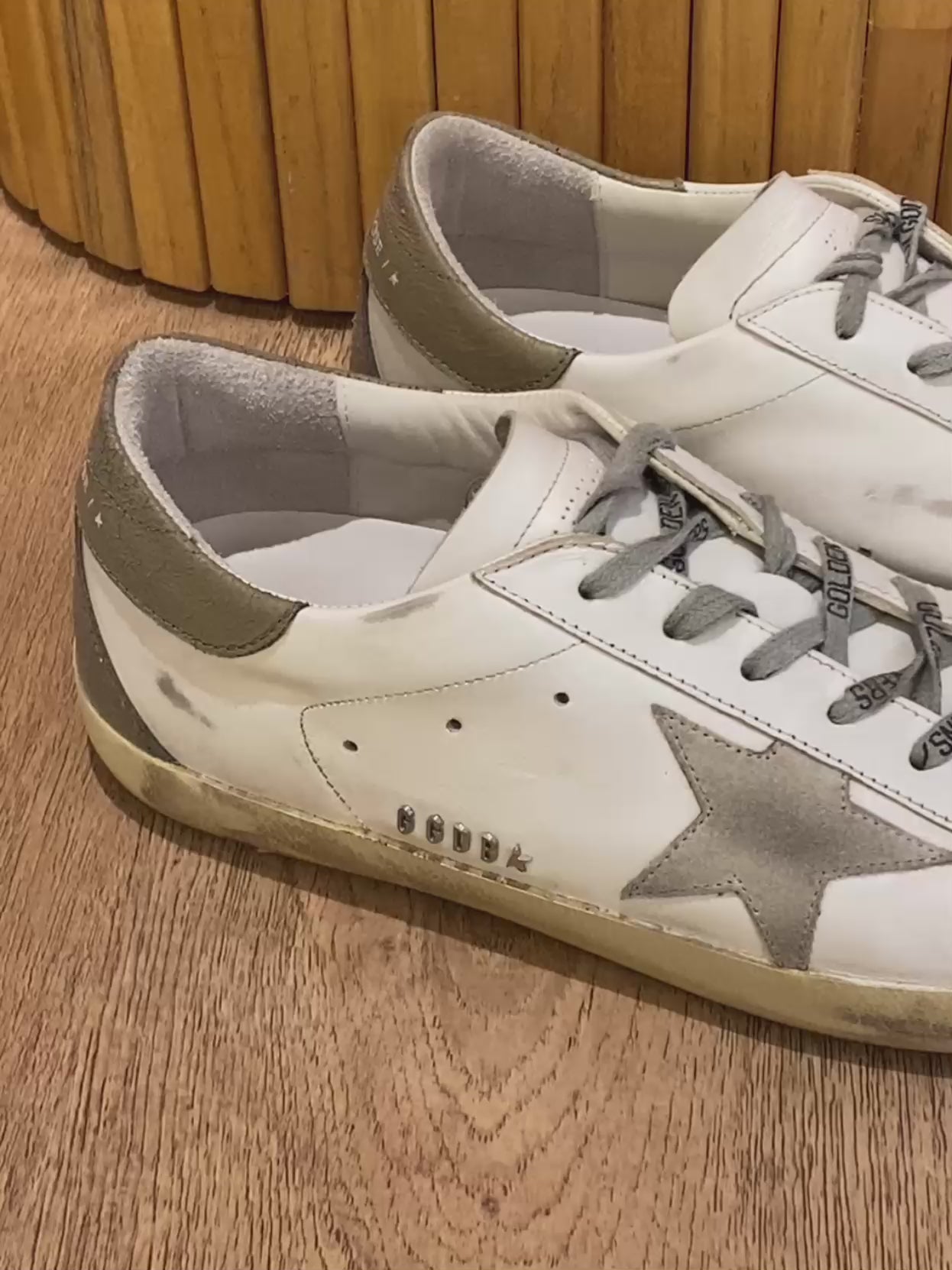 Champion Golden Goose Super-Star (11 MASC)