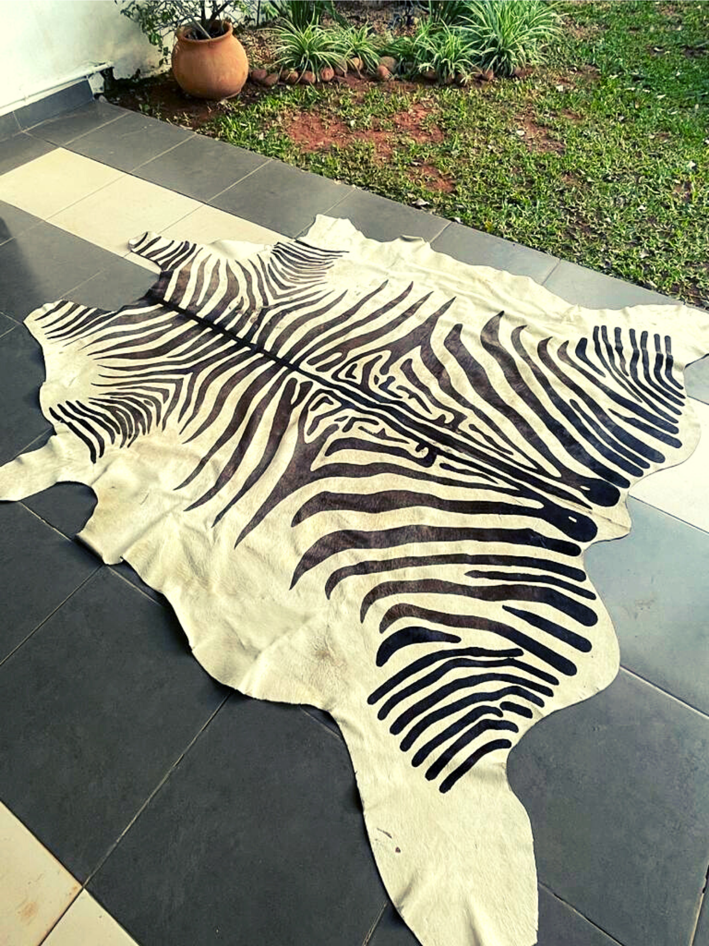 Alfombra Zebra
