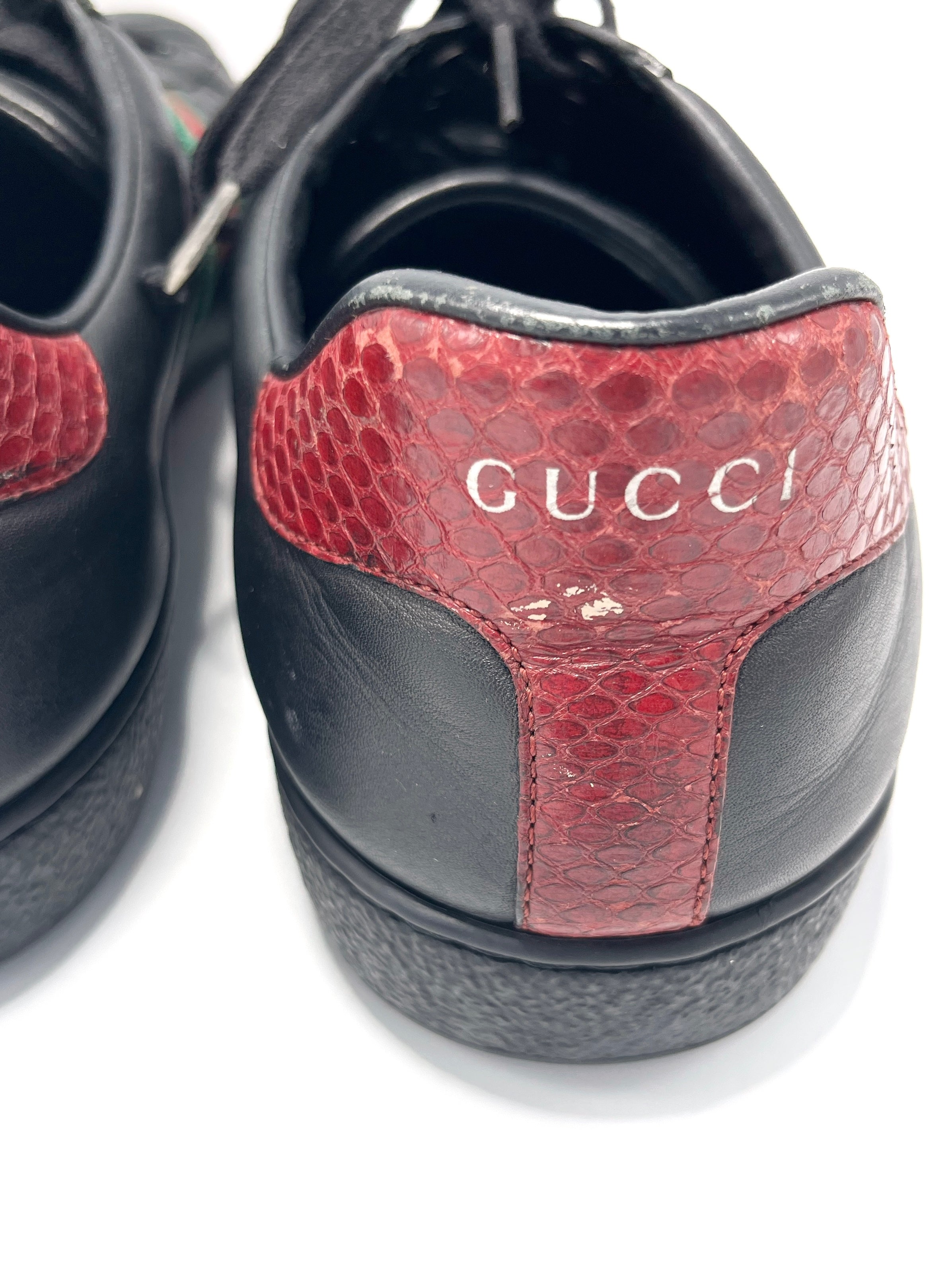 Champion Gucci Ace Sneaker (US 11 masc)