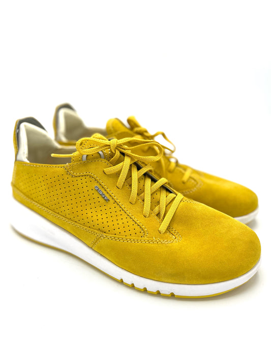 Champión Geox Aerantis (US 8)