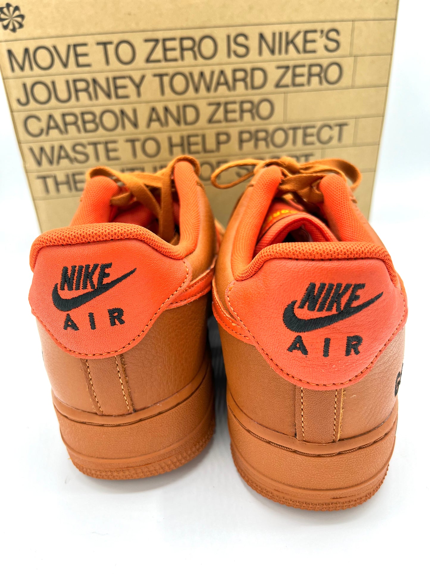 Champion Nike Air Force 1 GTX (US 10)