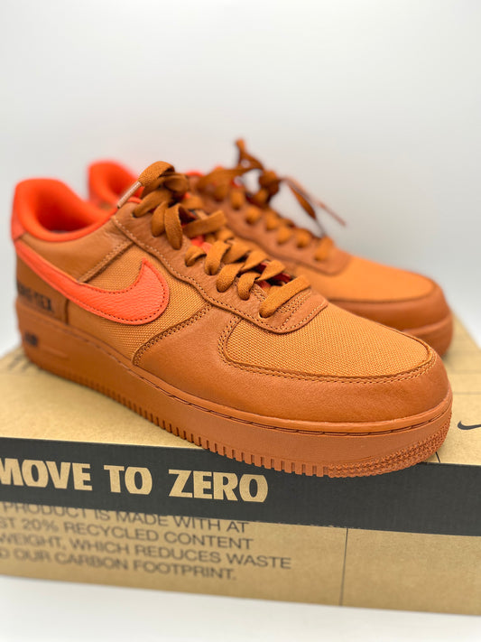 Champion Nike Air Force 1 GTX (US 10)